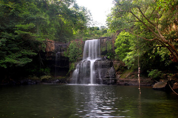 waterfall in green forest