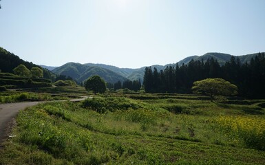 Fototapeta na wymiar 日本の青鬼集落。周囲を山に囲まれた場所で、田んぼや畑が広がるノスタルジックな風景。