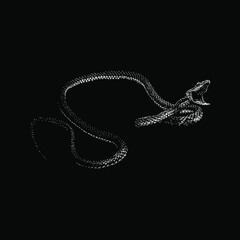 Parrot Snake hand drawing vector illustration isolated on black background