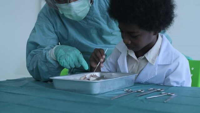 Education concept of 4k Resolution. Researchers are dissecting frogs in a lab. teaching students. physical examination.