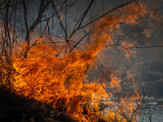 Fototapeta premium Prairie Fire 