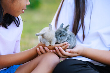 Asian girl holding adorable bunny fluffy in hand with tenderness and love. People take care and...