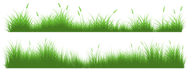 long reeds grass - obrazy, fototapety, plakaty