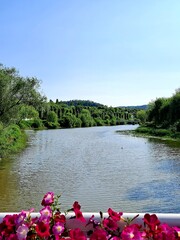 View from the Han river bridge decorated with pink pansy flowers in Seoul, South Korea