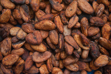 Pile of Cocoa Beans