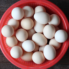 A Basket full of Fresh Eggs, can be use to illustrate a risky investment portfolio