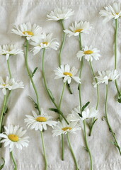 chamomile flowers pattern frame on beige linen texture top view, copy space.Daisy flowers background. toned. Poster