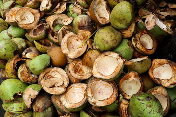 green coconut waste that accumulates