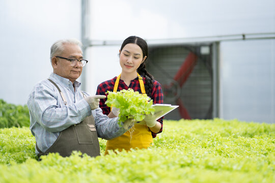 Smart farm,sensor technology,smart agriculture concept.Smart young asian farmer girl using tablet to check quality and quantity of organic hydroponic vegetable garden at greenhouse in morning. - Powered by Adobe