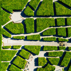 Aerial view of labyrinth in a park seen from above top down