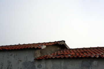 roof and chimney