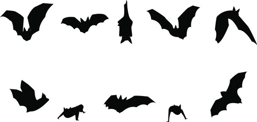 Vector silhouettes of bat