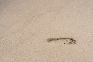 Footprints on the beach sand
