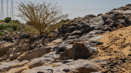 There are piles of boulders on the hillside. The stones are scattered on the sand. A dry tree against a clear sky. Egypt. The bank of the Nile River