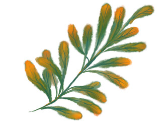 Tropical red green plant elements autumn watercolor hand painting illustration