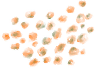 Decorate floral elements autumn orange green red dots organic watercolor painitng illustration