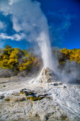 Lady Knox geyser is a major attraction of Waiotapu Thermal Park, New Zealand