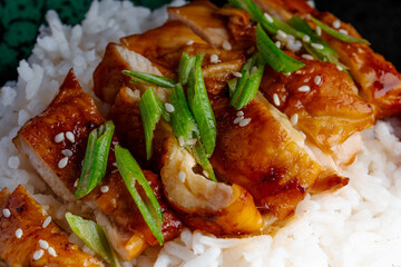 Chicken Teriyaki Sauce and Carrot Garnished Rice