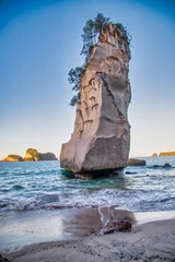 Poster Cathedral Cove is een beroemde toeristische attractie op het schiereiland Coromandel, Nieuw-Zeeland © jovannig