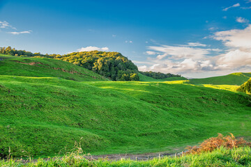 Amazing spring colors of New Zealand hills at sunset