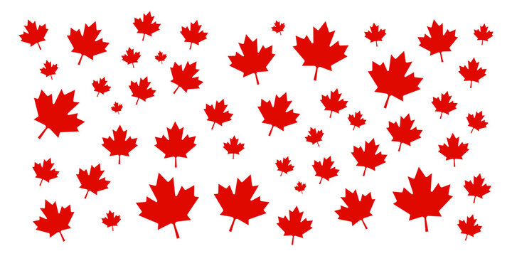 Canada Day maple leaves background. Pattern red leaves for Canada Day 1st July.