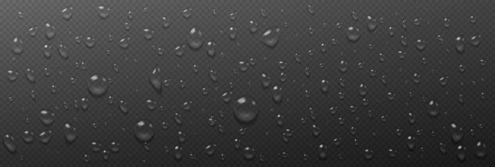 Condensation water drops on transparent background. Rain droplets with light reflection on dark surface, abstract wet texture, scattered pure aqua blobs pattern Realistic 3d vector illustration - obrazy, fototapety, plakaty