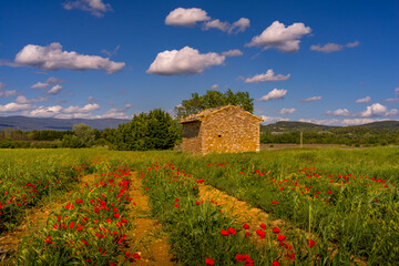 Paysage campagne 1320