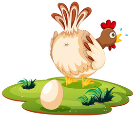 Cute chicken laying eggs