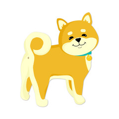Shiba Inu Dog