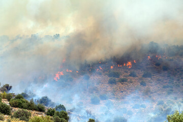 Wildfire on mountain in Greece