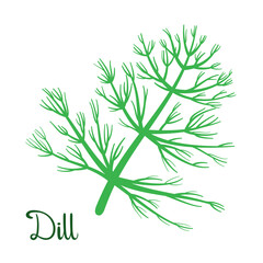 A sprig of dill on a white background. Herbs.
