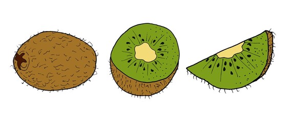 Kiwi set. Vector illustration. Drawn by hand. Isolated.