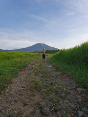 Fototapeta premium A Woman walking around plantation in Banyuwangi, East Java, Indonesia.