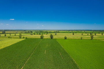 Amazing countryside landscape in nature park Lonjsko polje, Croatia, agriculture fields in summer, aerial view
