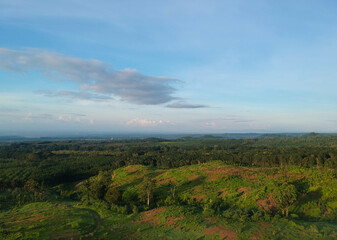 Beautiful landscape at the plantation in Banyuwangi, Indonesia.
