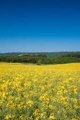 Obraz premium 秋田県 鳥海山