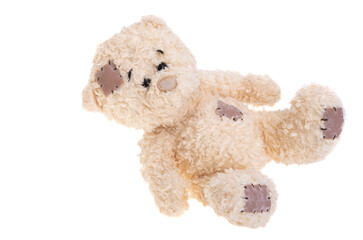 bear toy isolated