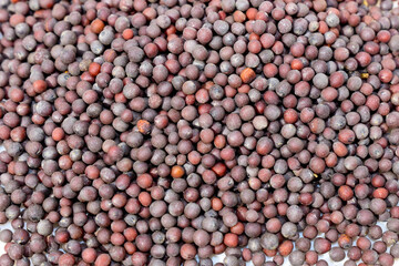 Black Mustard seed isolated on white background 