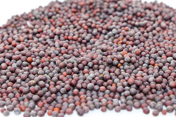 Black Mustard seed isolated on white background 