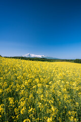 秋田県　鳥海山