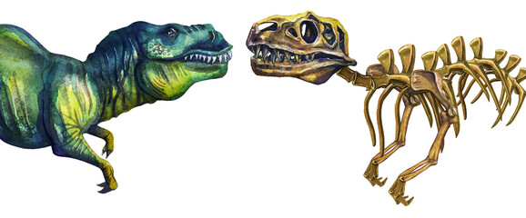 Dinosaur bones opposite a living T-Rex. Paleontology and Archeology. Tyrannosaurus rex skeleton. Watercolor drawing on a white background. © Viktoriia