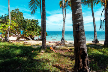 coconut trees and tropical sea beach in summer