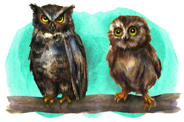 Two owls on a branch. Watercolor drawing Fluffy and funny birds. Big cute eyes and ears. Postcard with animals.