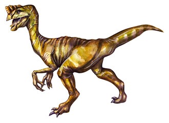 Prehistoric drawing of a Oviraptor dinosaur in watercolor on a white background.