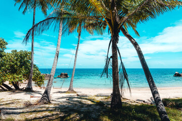 coconut trees and tropical sea beach in summer