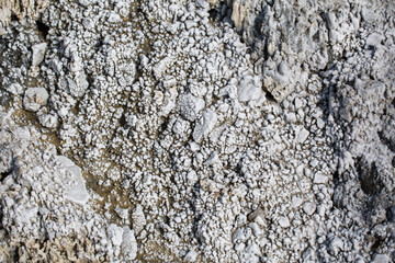 Close-up of salt crystals.