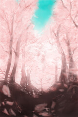 Fototapeta premium 桜背景
