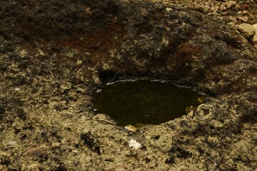 water inside pothole  in the eroded basalt rock