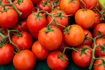 Red vine tomatoes on farmers market