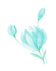 Isolated softness teal colored floral design elements. Abstract turquoise flowers with bud and leaves on white background. Watercolor painting Vintage design flowers with leaves.